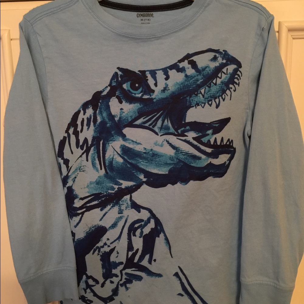 Boys Gymboree Long-Sleeve Tee